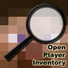 http://img.niceminecraft.net/BukkitPlugin/OpenPlayerInventory.png