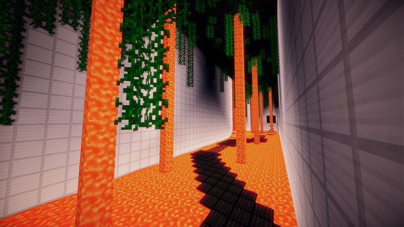 http://img.niceminecraft.net/Map/DeathRun-Map-1.jpg