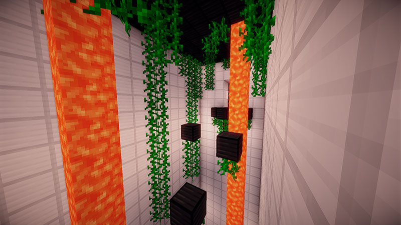 http://img.niceminecraft.net/Map/DeathRun-Map-5.jpg