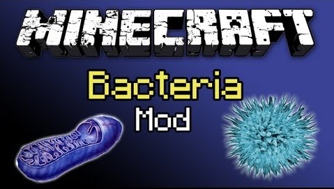 Bacteria-Mod.jpg