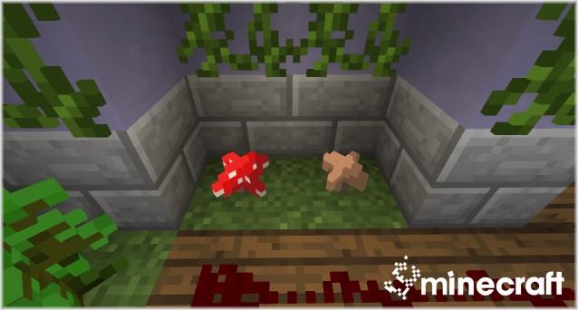 http://img.niceminecraft.net/Mods/Blocks-3D-Mod-2.jpg