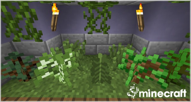 http://img.niceminecraft.net/Mods/Blocks-3D-Mod-3.jpg