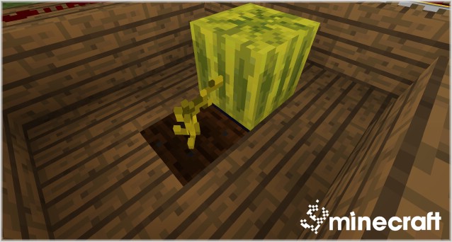 http://img.niceminecraft.net/Mods/Blocks-3D-Mod-6.jpg