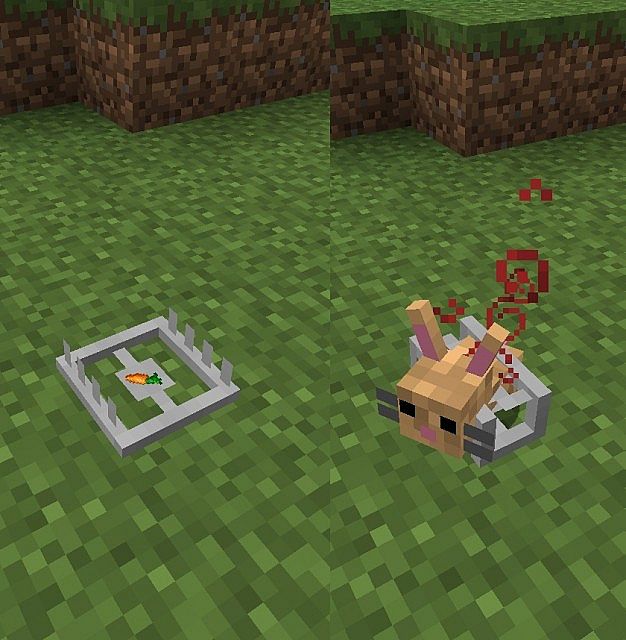 Camping-Mod-7.jpg