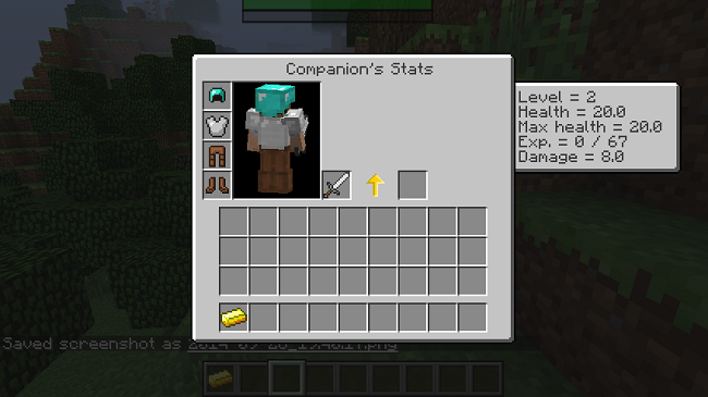 Companions-Mod-2.jpg