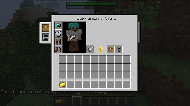 Companions-Mod-6.jpg