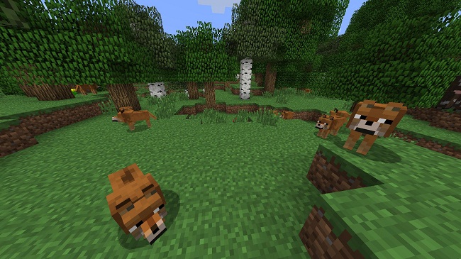 Doge-Mod-1.jpg