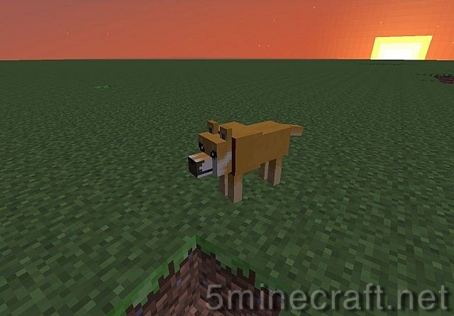 Doge-client-2.jpg