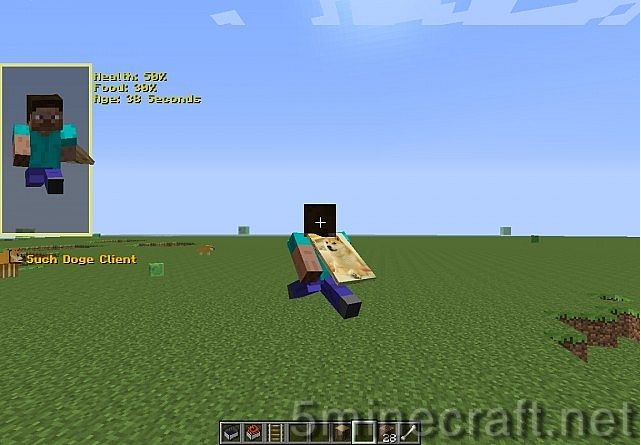 Doge-client.jpg