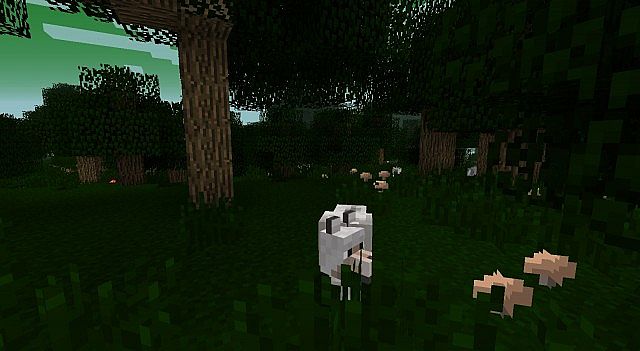 Eclectic-craft-mod-2.jpg