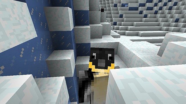http://img.niceminecraft.net/Mods/Eskimo-Arctic-Mod-3.jpg