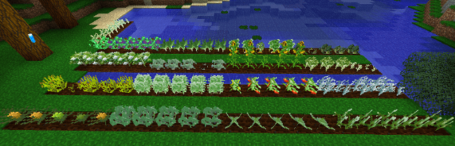 http://img.niceminecraft.net/Mods/Forgotten-Nature-Mod-5.png