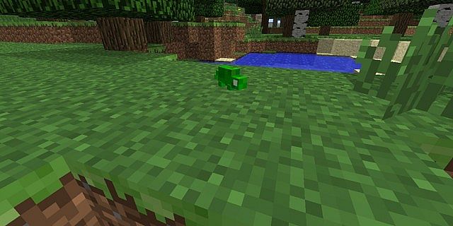 Gecko-mod-1.jpg
