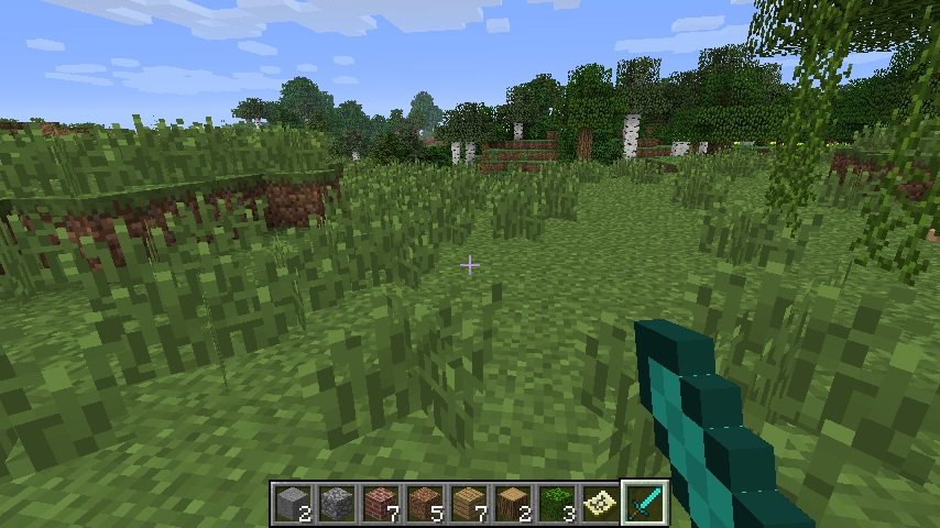 http://img.niceminecraft.net/Mods/Improved-First-Person-View-Mod-2.jpg