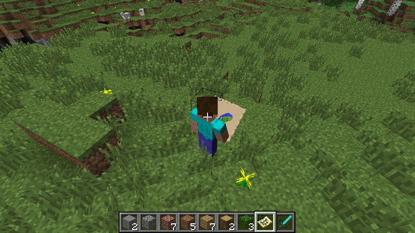 http://img.niceminecraft.net/Mods/Improved-First-Person-View-Mod-4.jpg