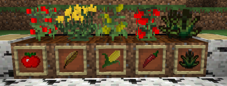 Mexican-Mod-4.png