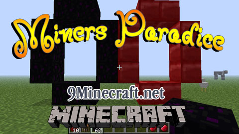 http://img.niceminecraft.net/Mods/Miners-Paradice-Mod.jpg