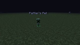 http://img.niceminecraft.net/Mods/Mini-Creeper-Pet-Mod-1.jpg