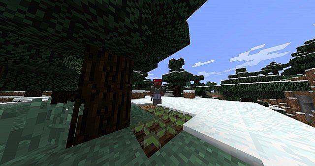 More-Minecraft-Mod-3.jpg