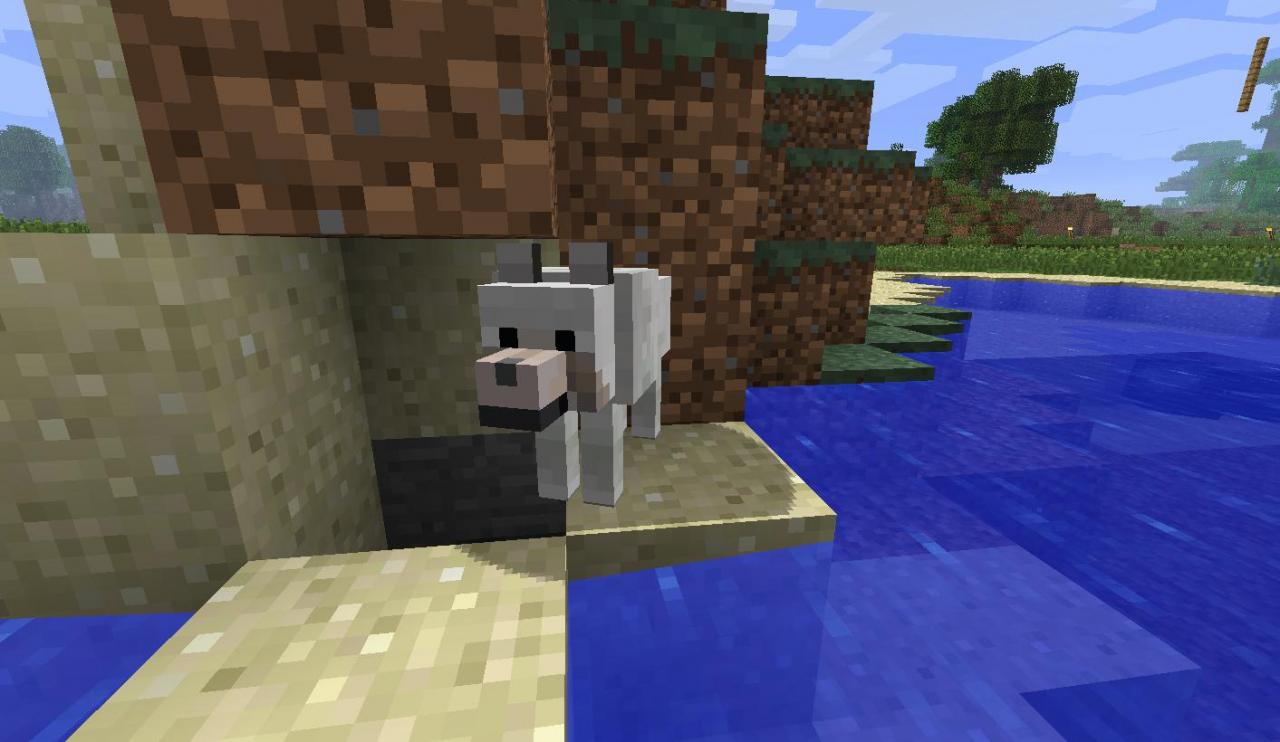 http://img.niceminecraft.net/Mods/More-Wolves-Mod-10.jpg