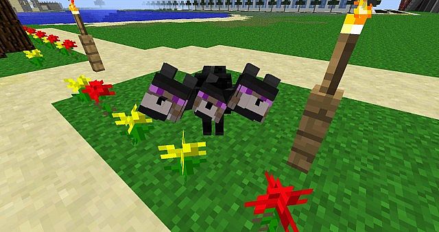 http://img.niceminecraft.net/Mods/More-Wolves-Mod-11.jpg