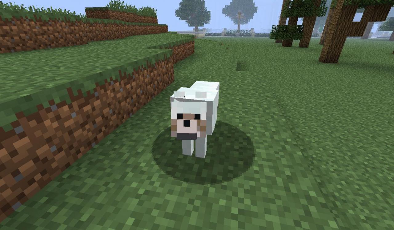 http://img.niceminecraft.net/Mods/More-Wolves-Mod-3.jpg