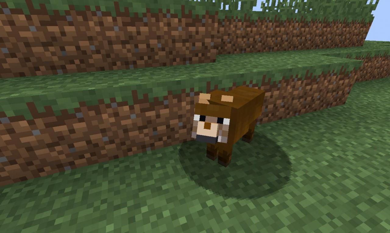 http://img.niceminecraft.net/Mods/More-Wolves-Mod-5.jpg