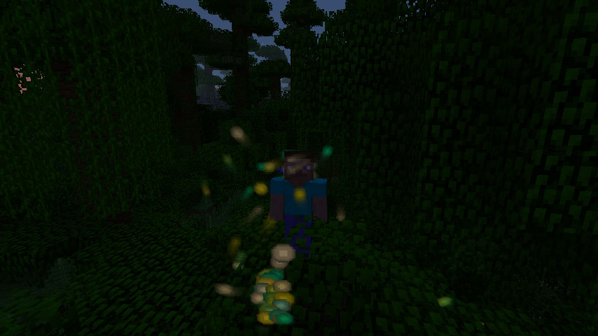 http://img.niceminecraft.net/Mods/Motion-Blur-Mod-1.jpg