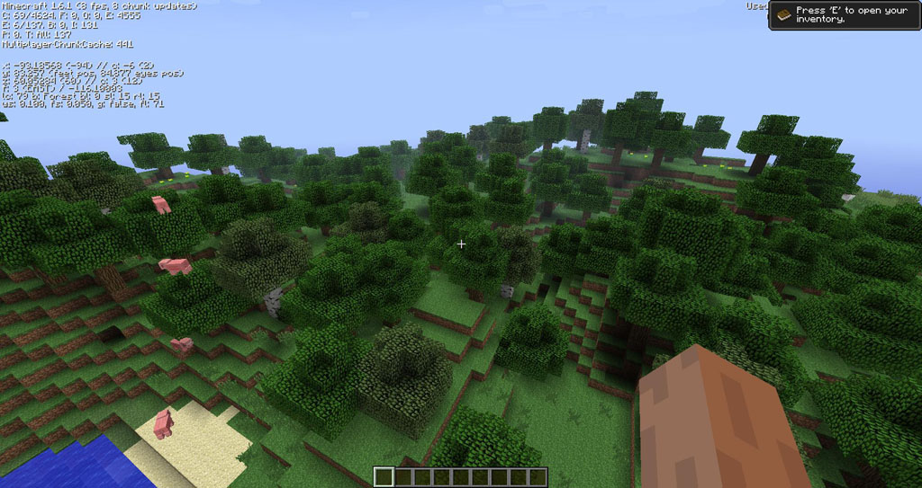 http://img.niceminecraft.net/Mods/OptiLeaves-Mod-1.jpg