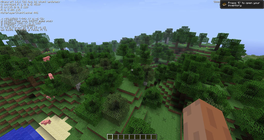 http://img.niceminecraft.net/Mods/OptiLeaves-Mod-2.jpg