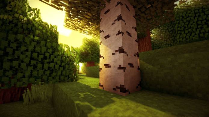 http://img.niceminecraft.net/Mods/RudoPlays-Shaders-Mod-3.jpg