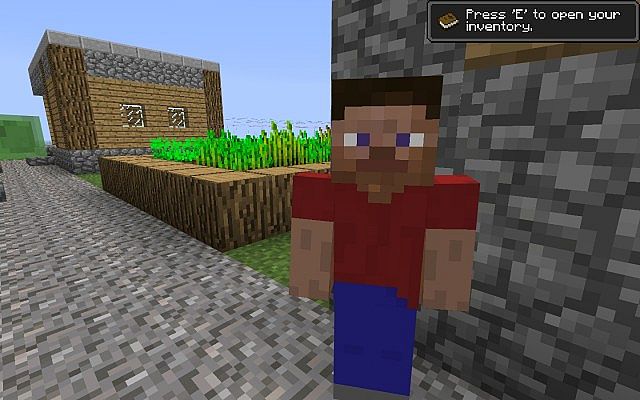 http://img.niceminecraft.net/Mods/Steve-Villagers-Mod-3.jpg