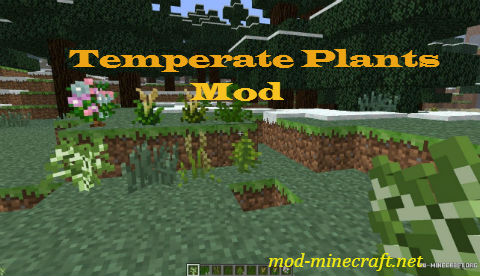 Temperate-Plants-Mod.jpg