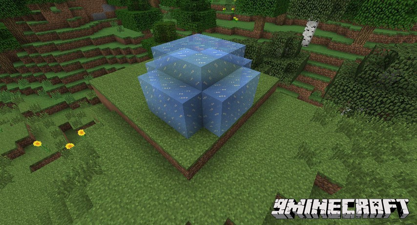 Varied-Creepers-Mod-11.jpg