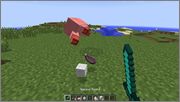 Yet-Another-Food-Mod-1.jpg