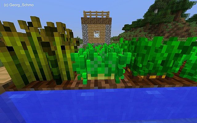 3d-nature-resource-pack-1.jpg