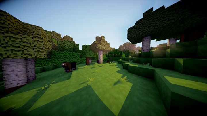 Better-then-default-pack-1.jpg