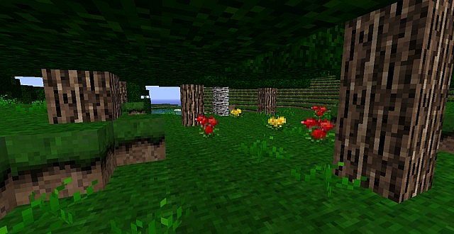 http://img.niceminecraft.net/ResourcePack/Echanium-craft-texture-pack-1.jpg
