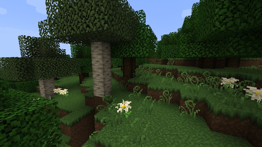FeatherSong_3.jpg