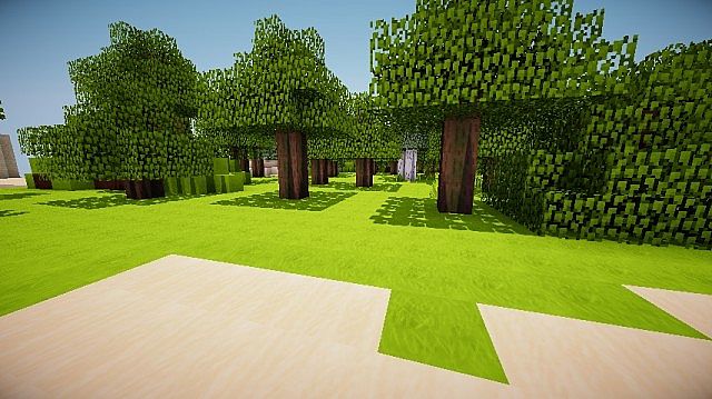 Montiis-realistic-texture-pack-1.jpg