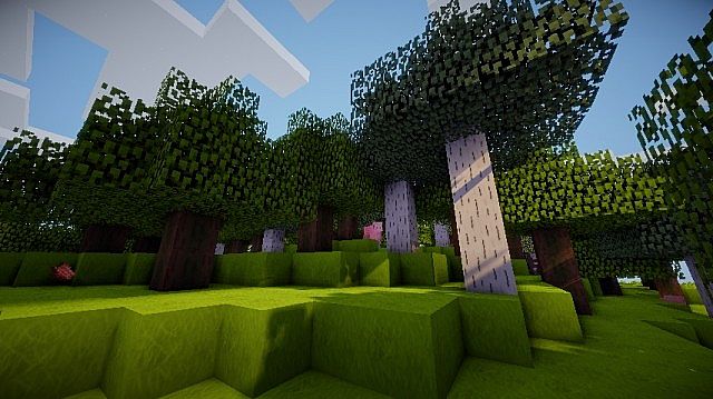 Montiis-realistic-texture-pack-3.jpg