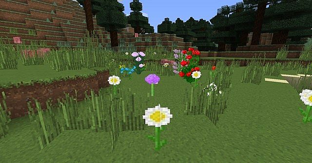 Norte-resource-pack-12.jpg