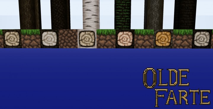 Olde-farte-medieval-resource-pack-6.jpg