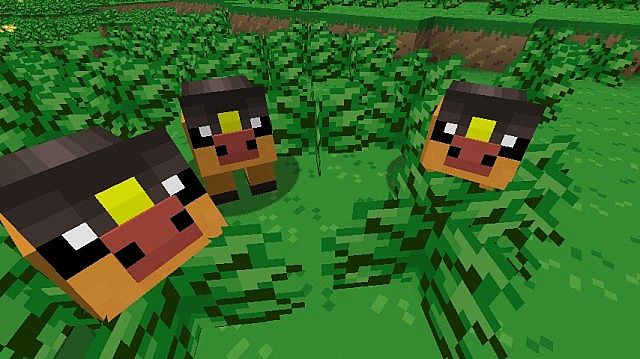 Pokeblock-texture-pack-4.jpg
