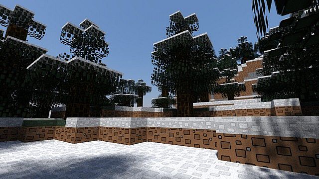 Rectangular-pack-4.jpg