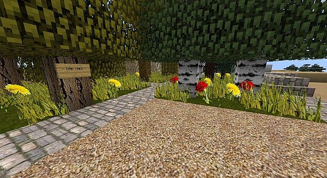 Simply-hd-texture-pack-3.jpg