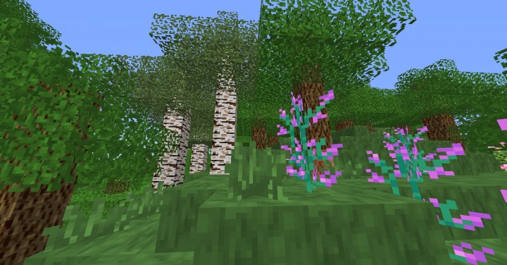 The-sappy-resource-pack-2.jpg