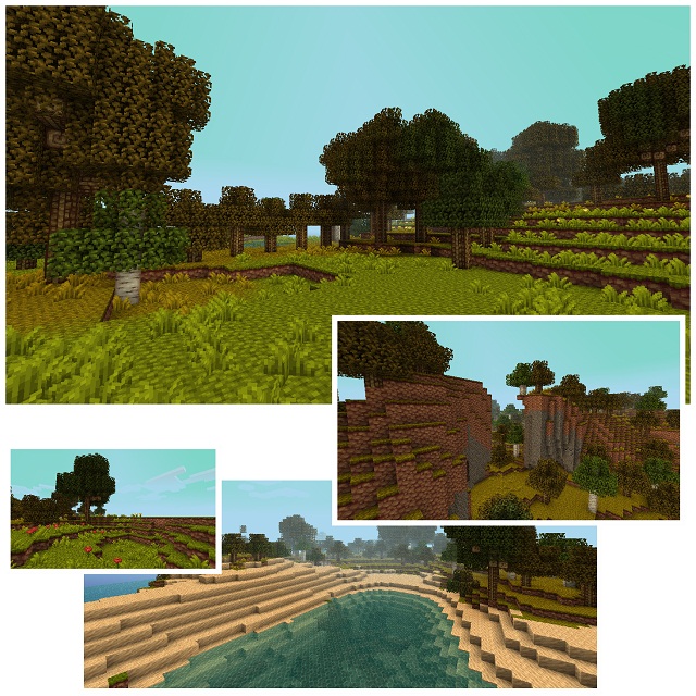 Thorns-texture-pack-1.jpg