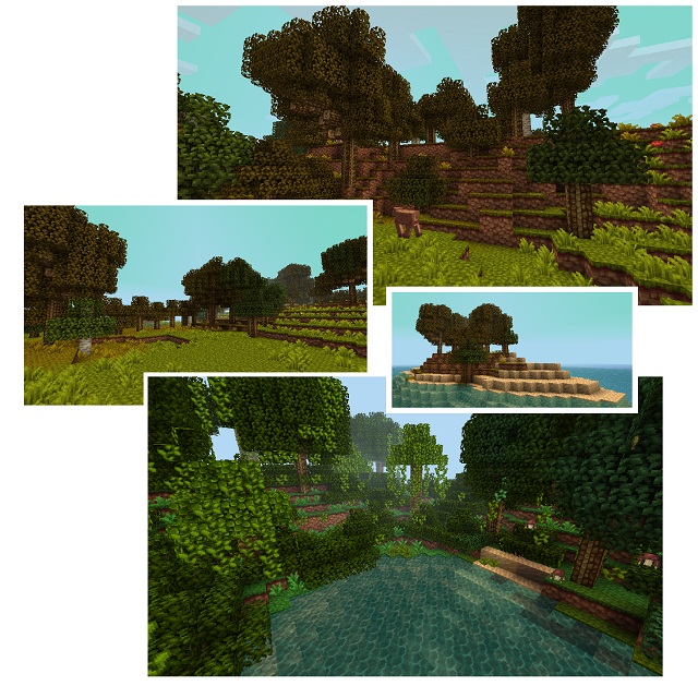 Thorns-texture-pack-2.jpg