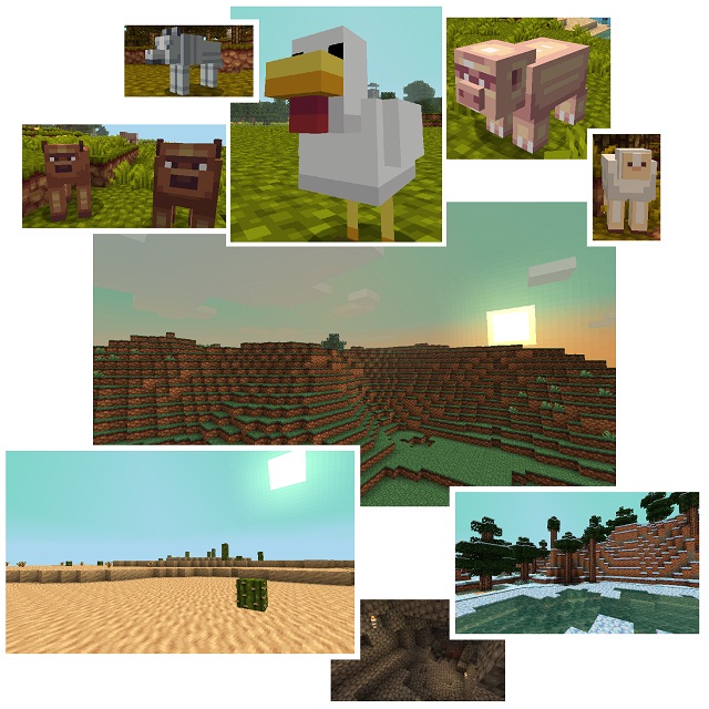 Thorns-texture-pack-3.jpg